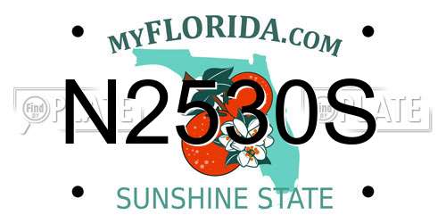 N2530S Florida License Plate
