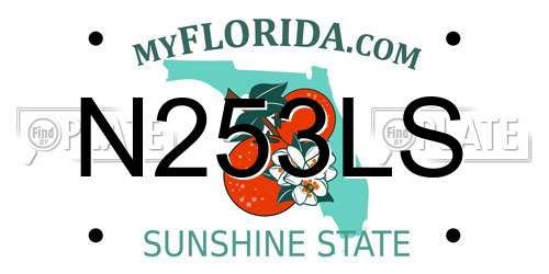 N253LS Florida License Plate