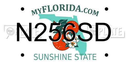 N256SD Florida License Plate