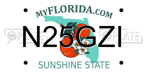 N25GZI Florida License Plate