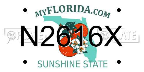 N2616X Florida License Plate