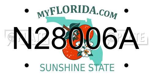N28006A Florida License Plate