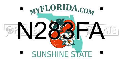 N283FA Florida License Plate