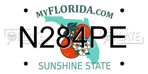 N284PE Florida License Plate