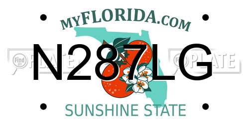 N287LG Florida License Plate