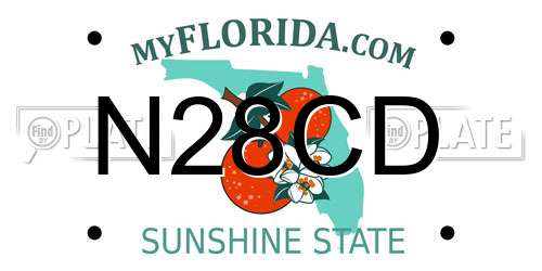 N28CD Florida License Plate