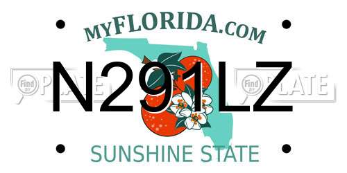 N291LZ Florida License Plate