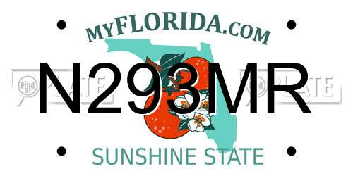 N293MR Florida License Plate