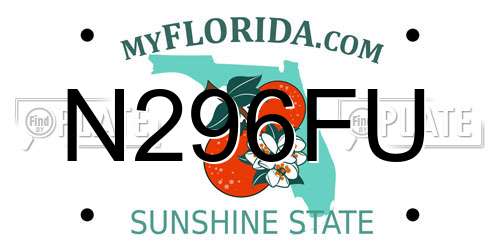 N296FU Florida License Plate
