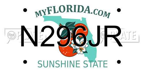 N296JR Florida License Plate