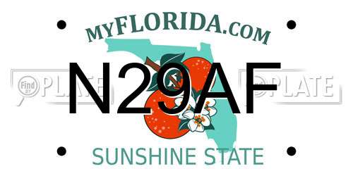 N29AF Florida License Plate