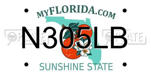 N305LB Florida License Plate