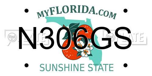 N306GS Florida License Plate