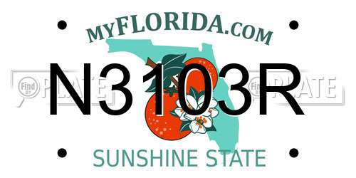 N3103R Florida License Plate