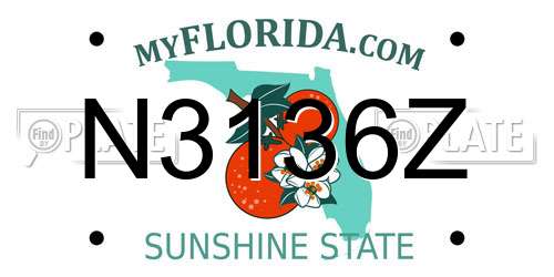 N3136Z Florida License Plate