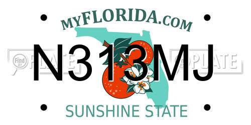 N313MJ Florida License Plate