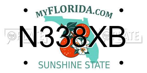 N338XB Florida License Plate