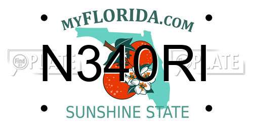 N340RI Florida License Plate