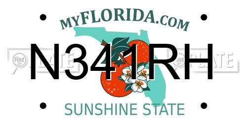 N341RH Florida License Plate