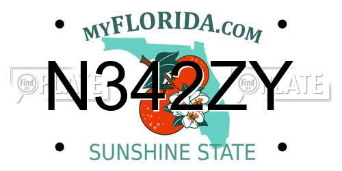 N342ZY Florida License Plate