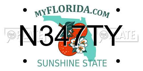 N347TY Florida License Plate