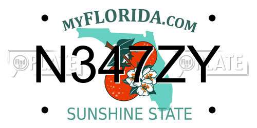 N347ZY Florida License Plate