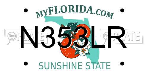 N353LR Florida License Plate