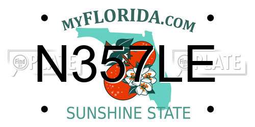 N357LE Florida License Plate