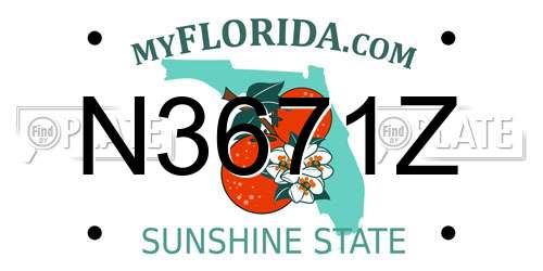 N3671Z Florida License Plate