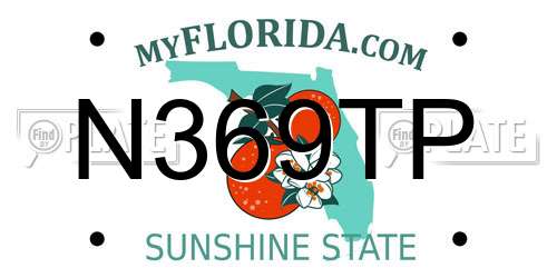 N369TP Florida License Plate