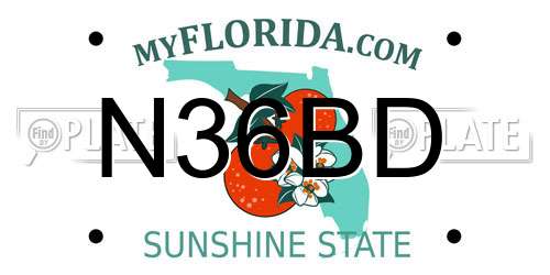 N36BD Florida License Plate
