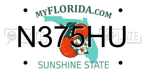 N375HU Florida License Plate