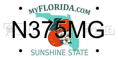 N375MG Florida License Plate