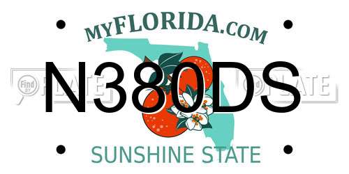 N380DS Florida License Plate