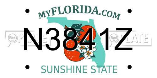 N3841Z Florida License Plate