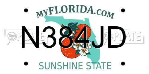 N384JD Florida License Plate