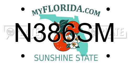 N386SM Florida License Plate