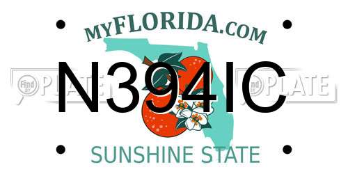 N394IC Florida License Plate