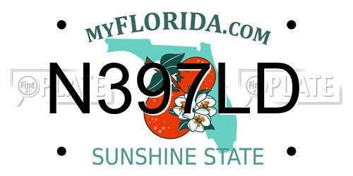 N397LD Florida License Plate