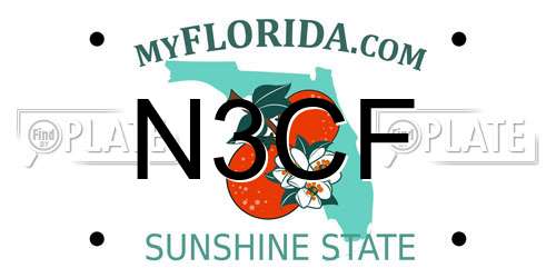 N3CF Florida License Plate