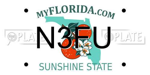 N3FU Florida License Plate