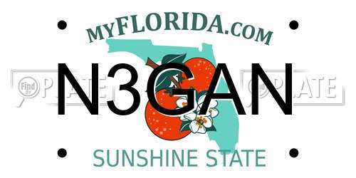 N3GAN Florida License Plate