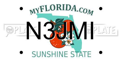 N3JMI Florida License Plate