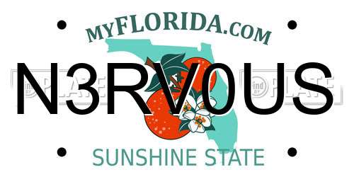 N3RV0US Florida License Plate