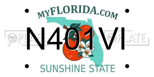 N401VI Florida License Plate