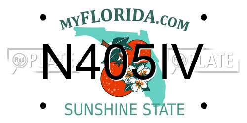 N405IV Florida License Plate