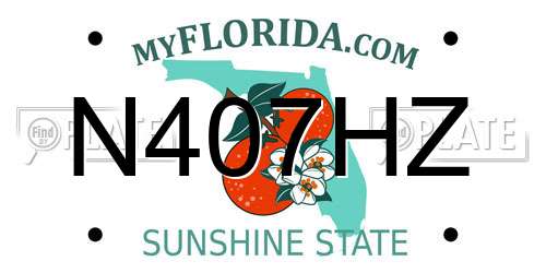 N407HZ Florida License Plate