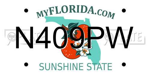 N409PW Florida License Plate