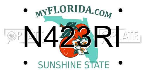 N423RI Florida License Plate