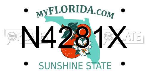 N4281X Florida License Plate